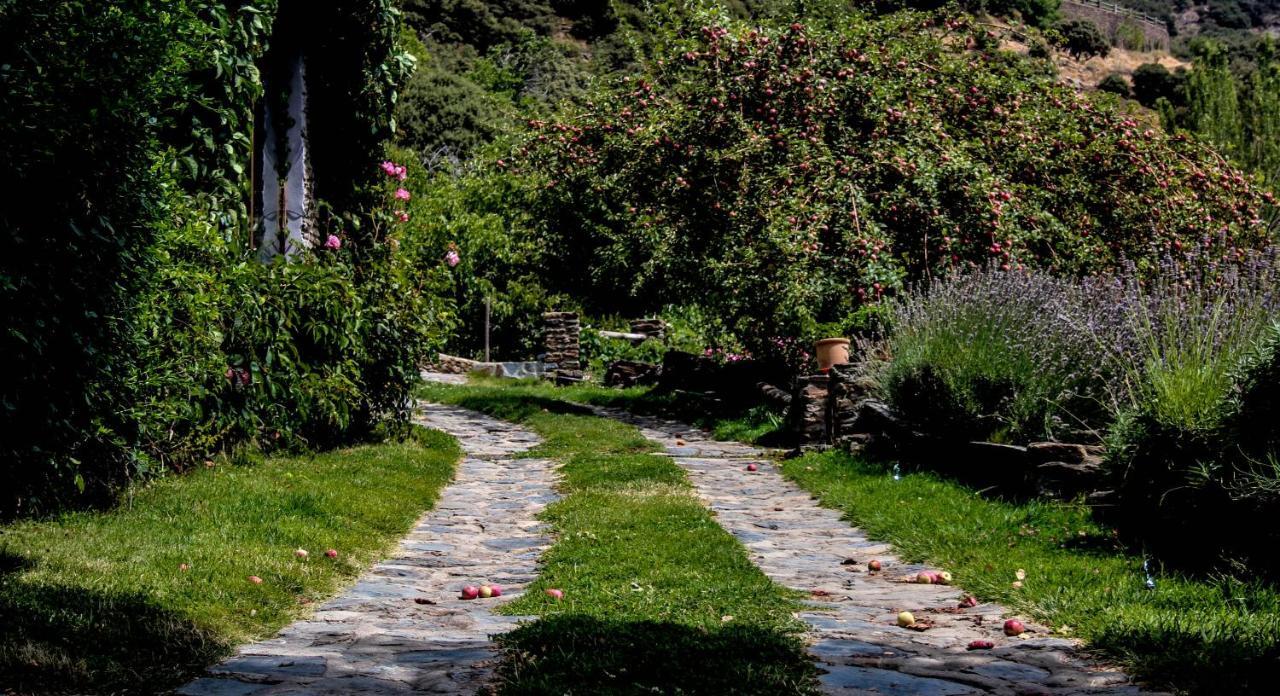 Casa Rural Catifalarga Alpujarra Capileira Exterior foto